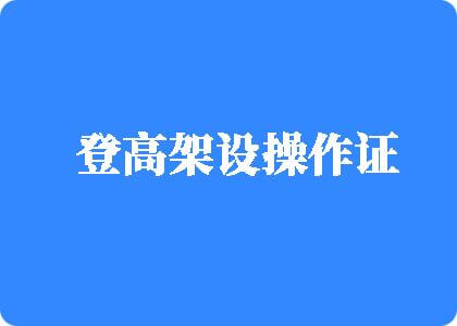 免费操逼黄片登高架设操作证